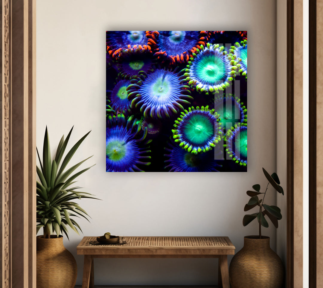 Neon Coral Glass Wall Art glass pictures for Wall, glass prints wall art