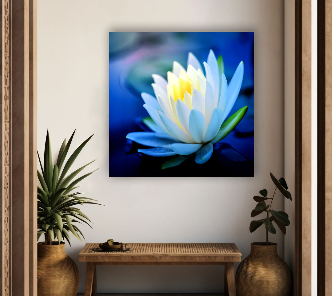 White Water Lotus Glass Wall Art, glass pictures for Wall, glass prints wall art