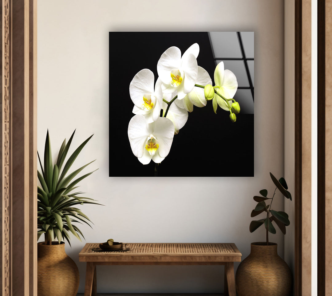 White Orchid Glass Wall Art, glass pictures for Wall, glass prints wall art