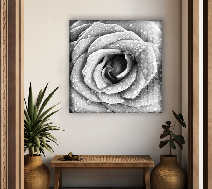 Black and White Rose Glass Wall Art, glass image printing, glass prints from photos