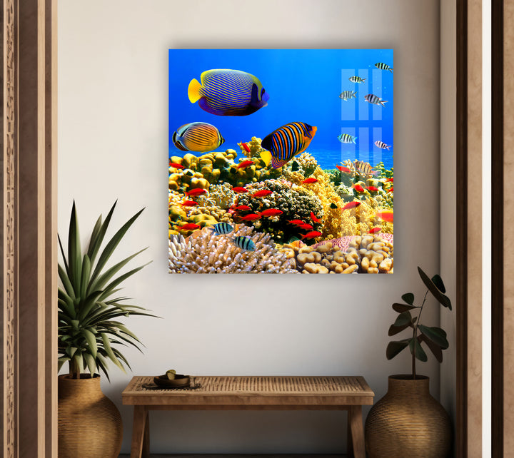 Tropical Fishes at Aquarium Glass Wall Decor for Living Room Spaces