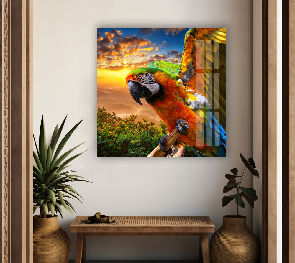 Tropical Parrot Glass Wall Art print picture on glass, Tempered Glass Wall Art