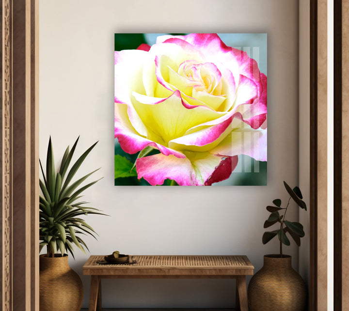 Vivid Yellow Rose Glass Wall Art, custom glass pictures, glass art prints