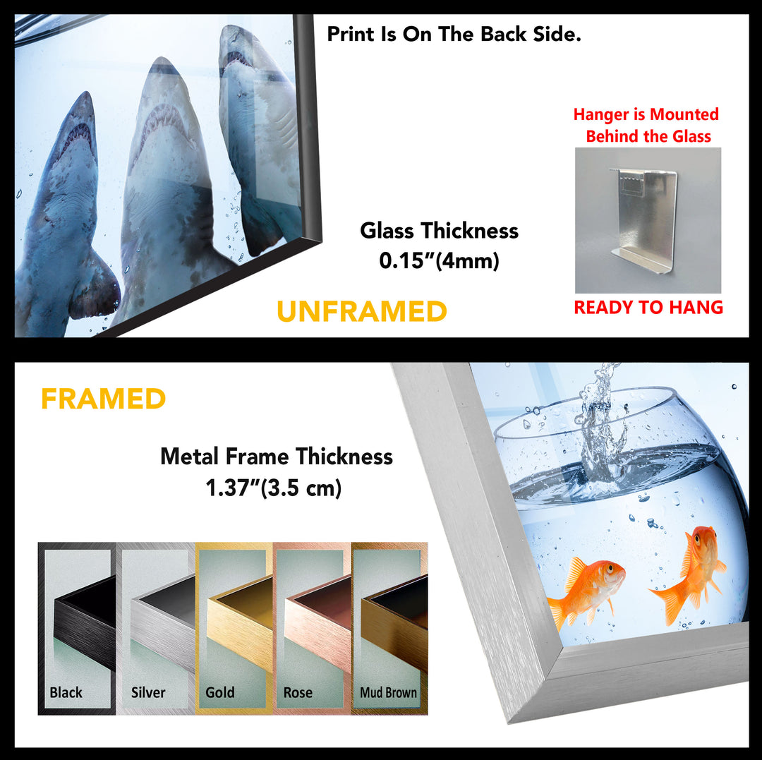 Shark Aquarium Tempered Glass Wall Art - MyPhotoStation