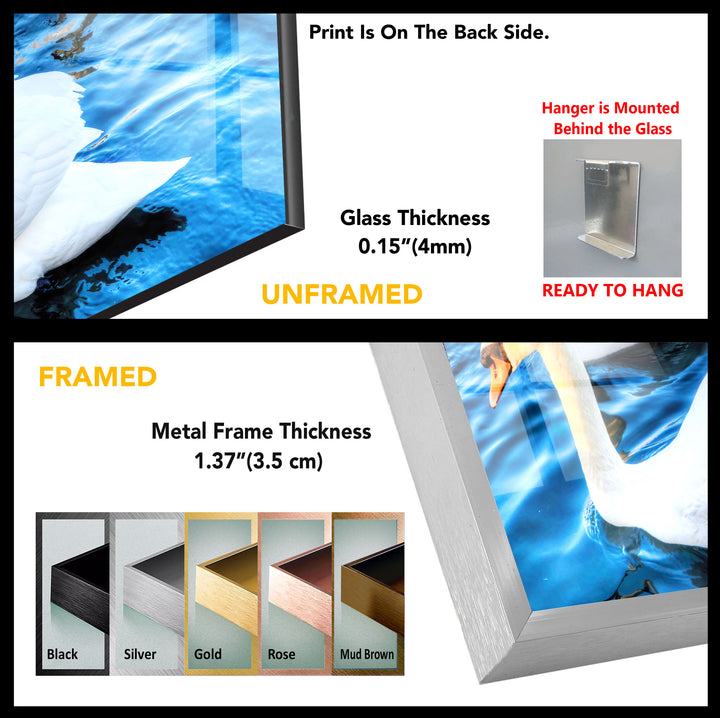 Swan Animal Tempered Glass Wall Art - MyPhotoStation