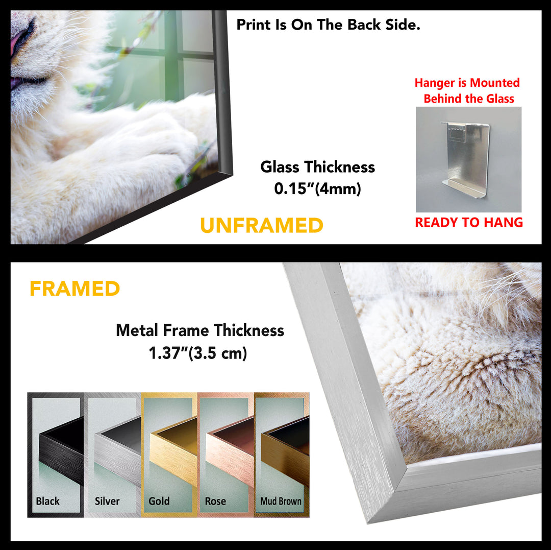 Wild Animal Tiger Tempered Glass Wall Art - MyPhotoStation