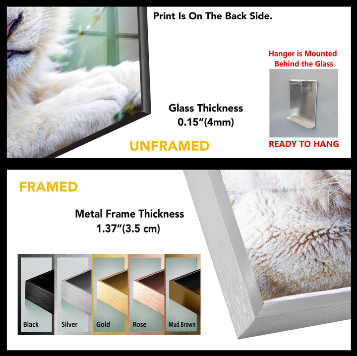 Wild Animal Tiger Tempered Glass Wall Art - MyPhotoStation