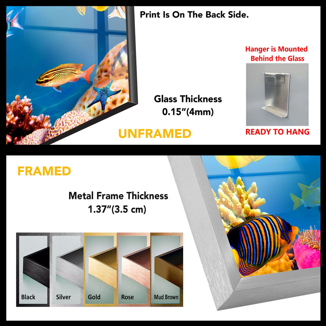 Aquarium Vivid Tempered Glass Wall Art - MyPhotoStation