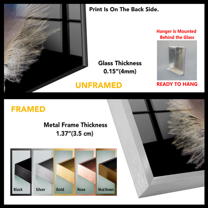 Feather Tempered Glass Wall Art - MyPhotoStation