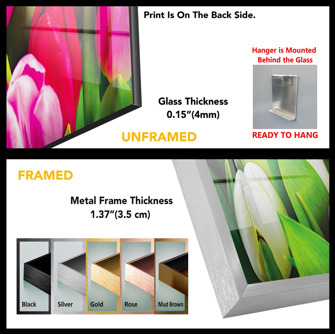 Colorful Tulips Glass Wall Art, glass pictures for Wall, glass prints wall art