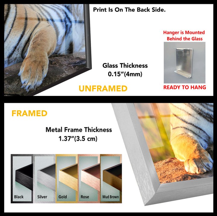 Wild Tiger Tempered Glass Wall Art - MyPhotoStation