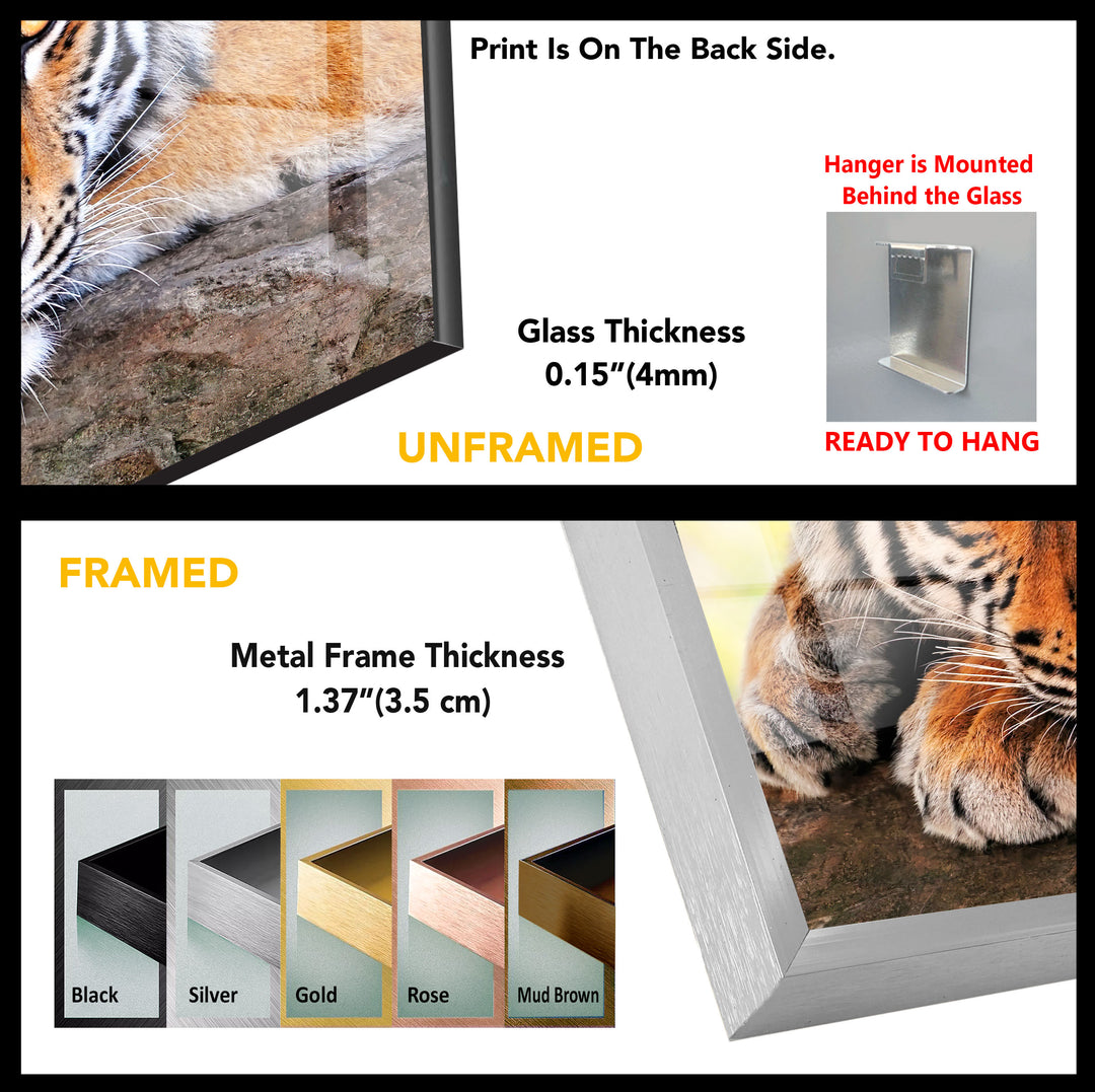 Wild Tiger Animal Tempered Glass Wall Art - MyPhotoStation