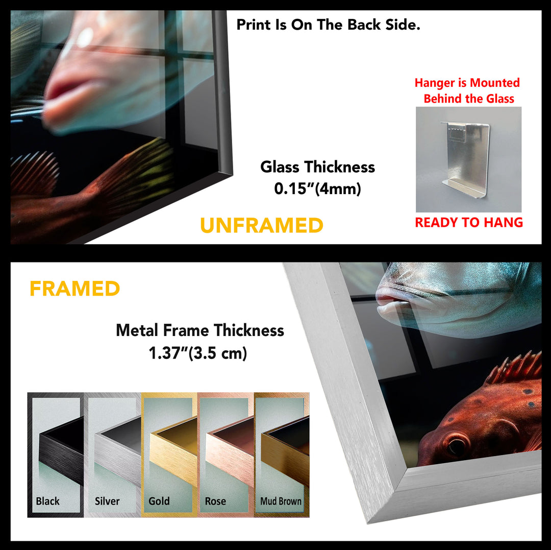 Fishes Tempered Glass Wall Art - MyPhotoStation