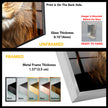 Wild Life Lion Tempered Glass Wall Art - MyPhotoStation