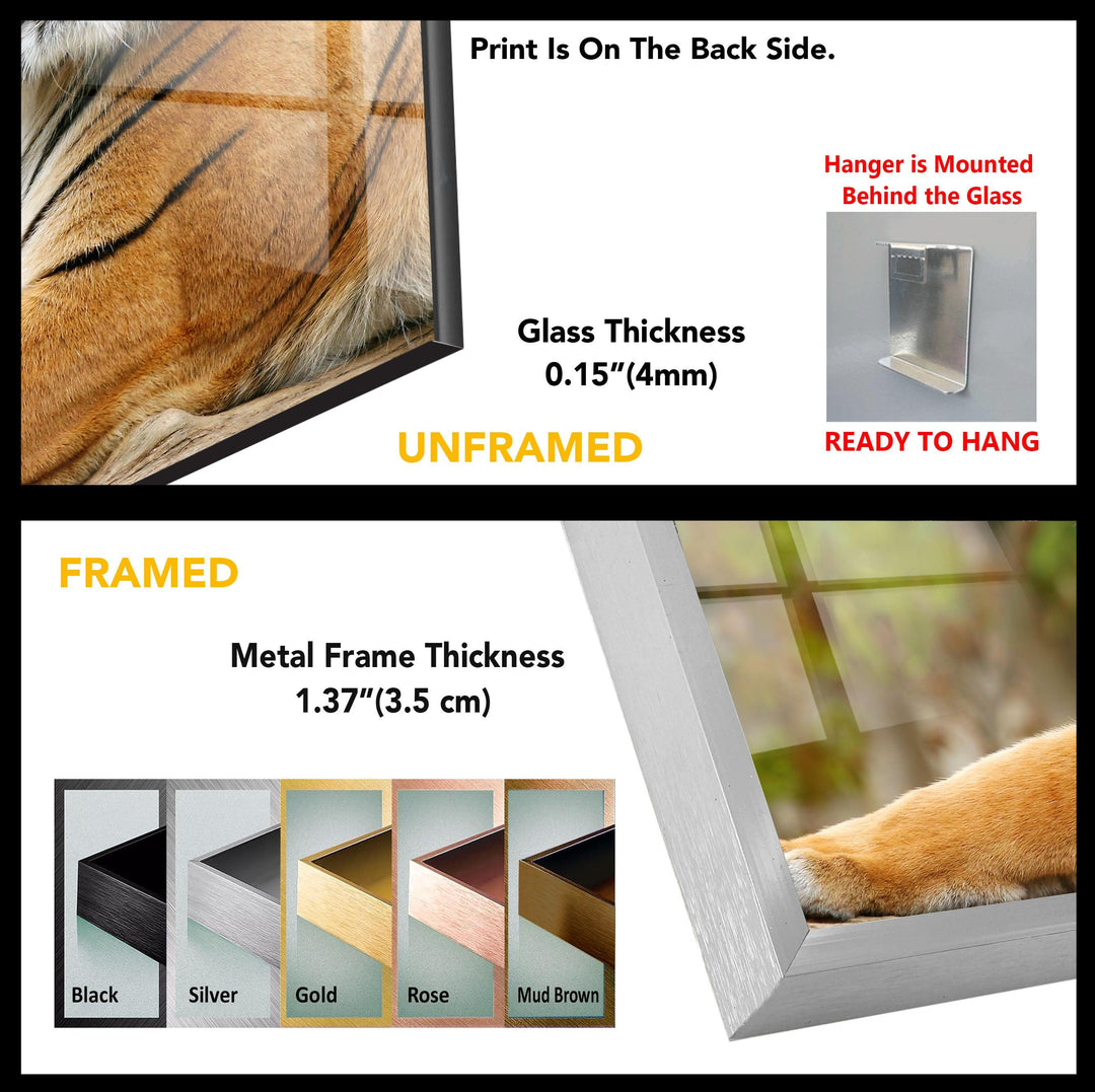 Tiger Tempered Glass Wall Art - MyPhotoStation