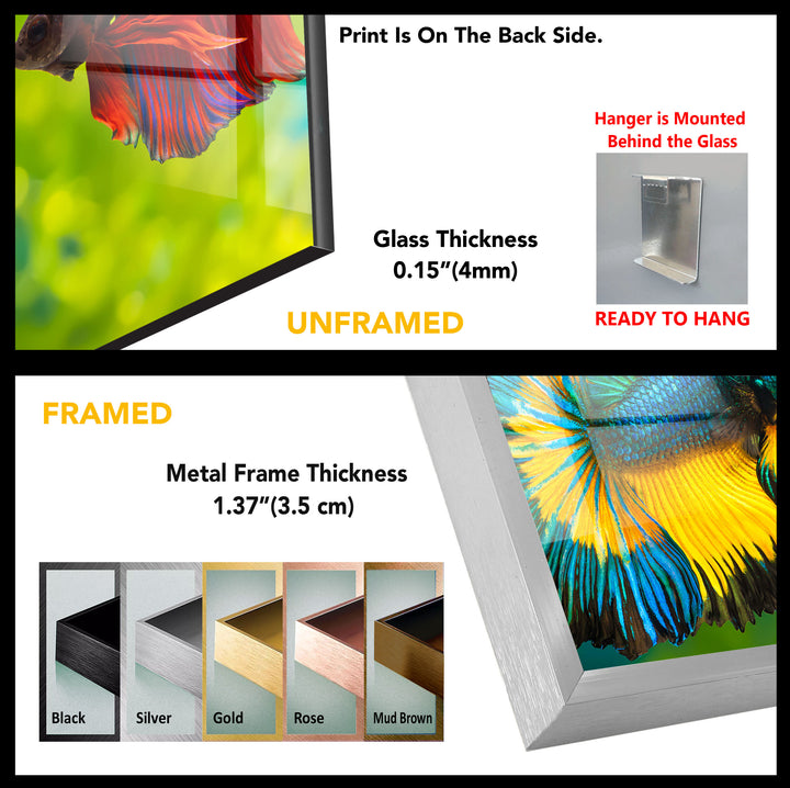 Fish Painting Art Tempered Glass Wall Art - MyPhotoStation