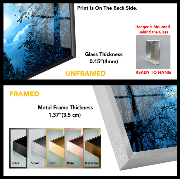 Mysterious Night Forest Glass Wall Art