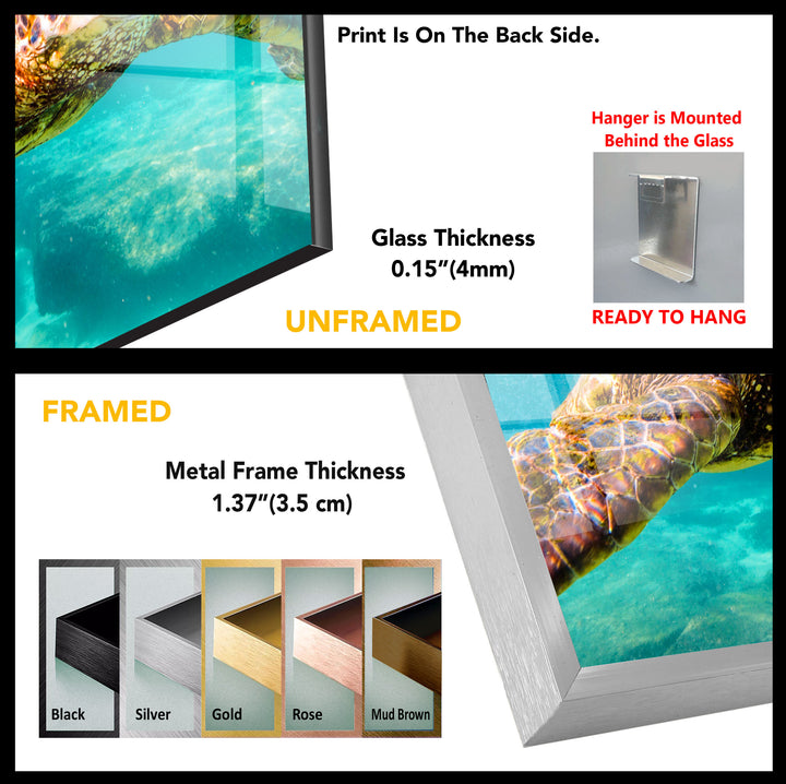 Sea Turtle Sea Life Tempered Glass Wall Art - MyPhotoStation