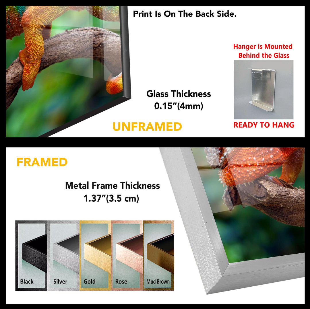 Chameleon Tempered Glass Wall Art - MyPhotoStation