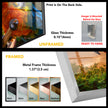Tropical Parrot Tempered Glass Wall Art
