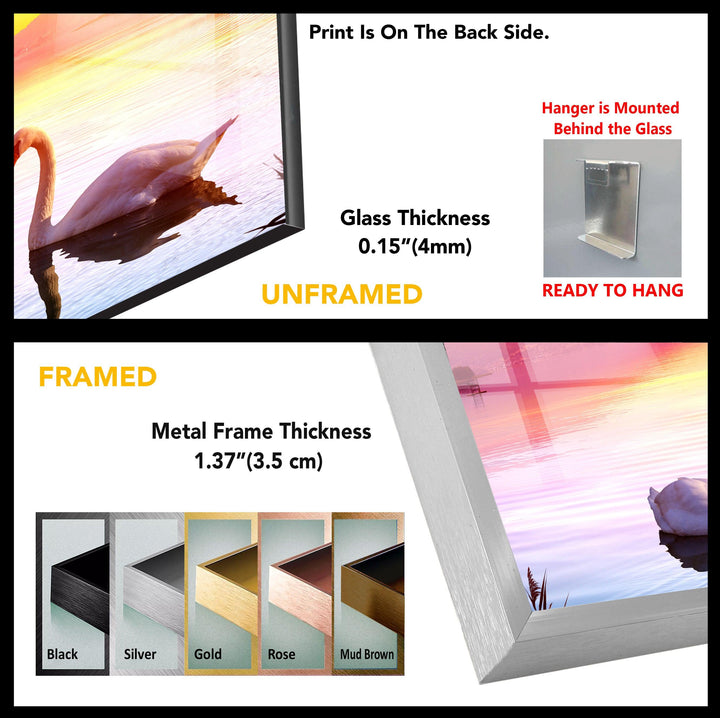 Swan Sunset Tempered Glass Wall Art - MyPhotoStation