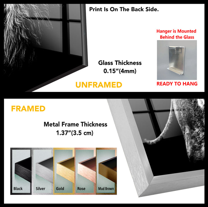 Black White Wild Animal Tempered Glass Wall Art - MyPhotoStation