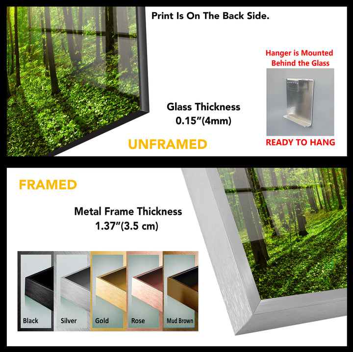 Forest Landscape Tempered Glass Wall Art - MyPhotoStation