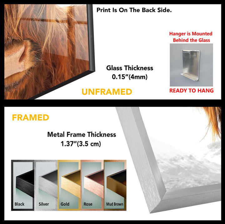 Highland Cow Rustic Bull Tempered Glass Wall Art - MyPhotoStation