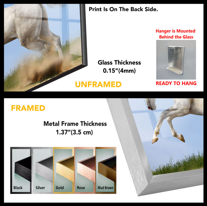 White Horse Tempered Glass Wall Art - MyPhotoStation