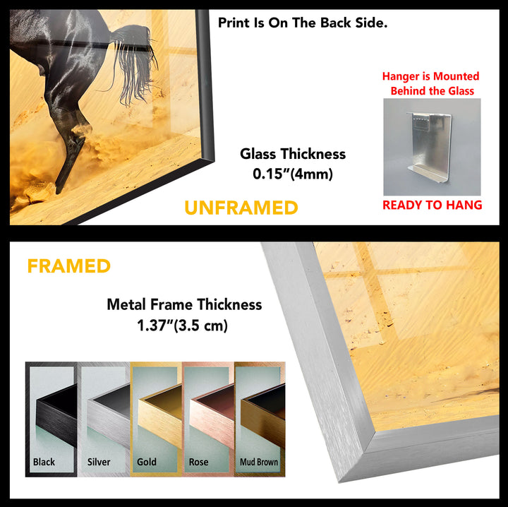 Black Horse Tempered Glass Wall Art - MyPhotoStation