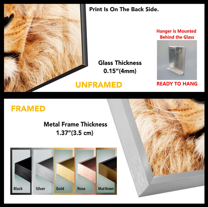 Lion Tempered Glass Wall Art - MyPhotoStation