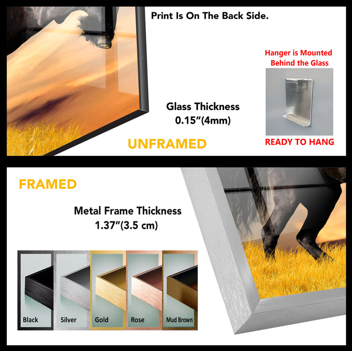 Black Horse Tempered Glass Wall Art - MyPhotoStation