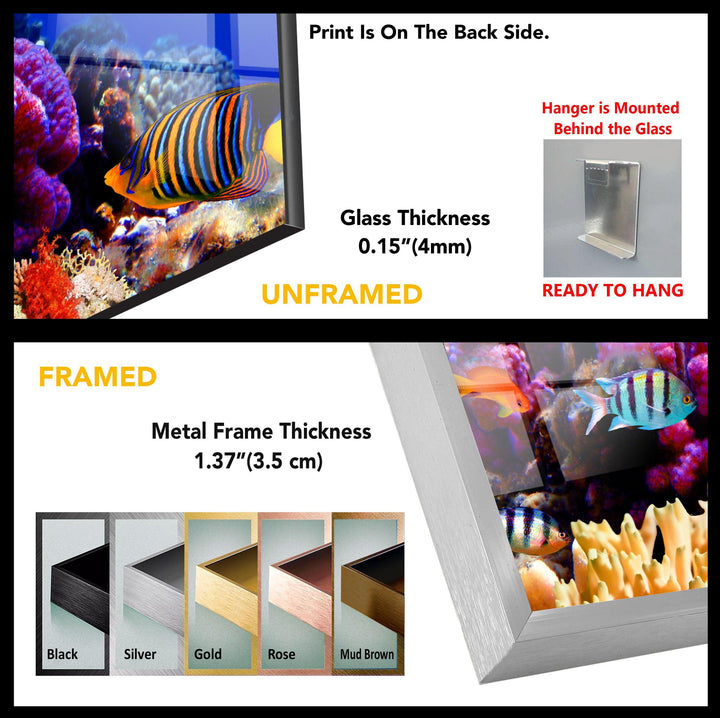 Aquarium and Fishes Tempered Glass Wall Art - MyPhotoStation