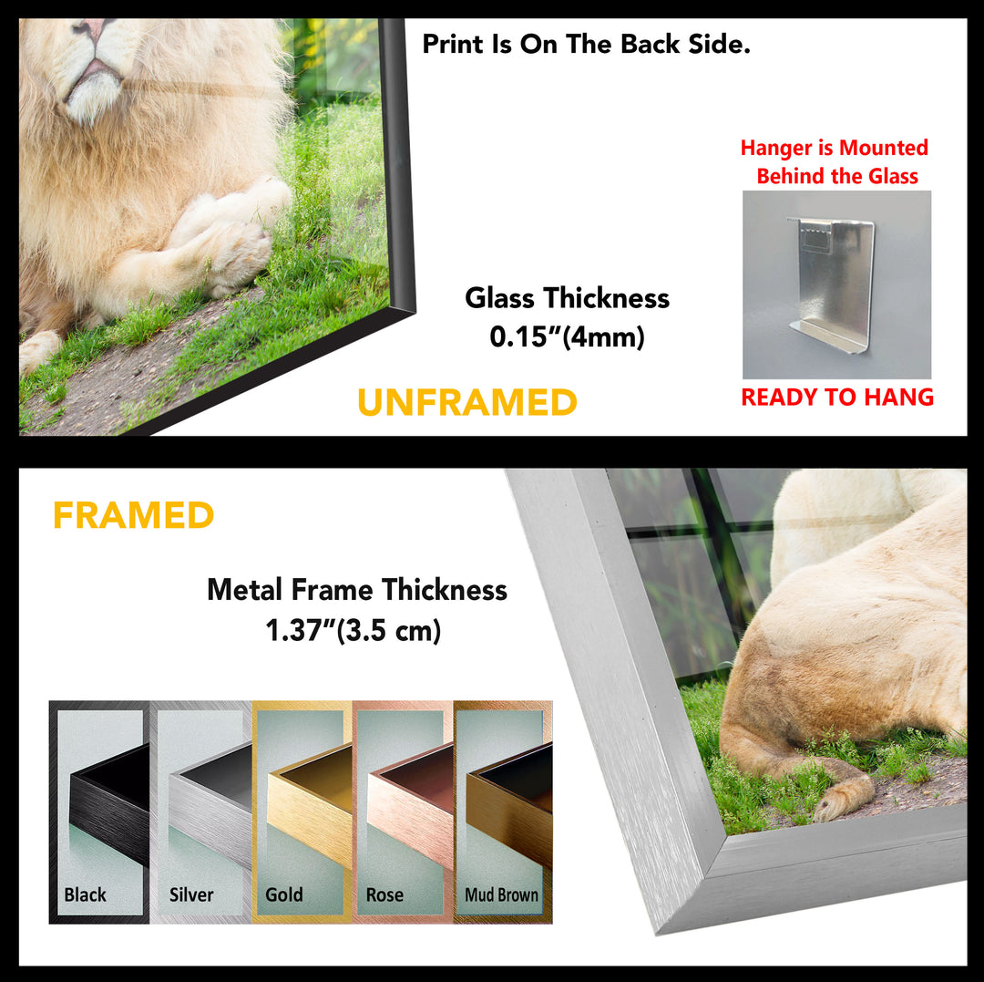 Lions Tempered Glass Wall Art - MyPhotoStation