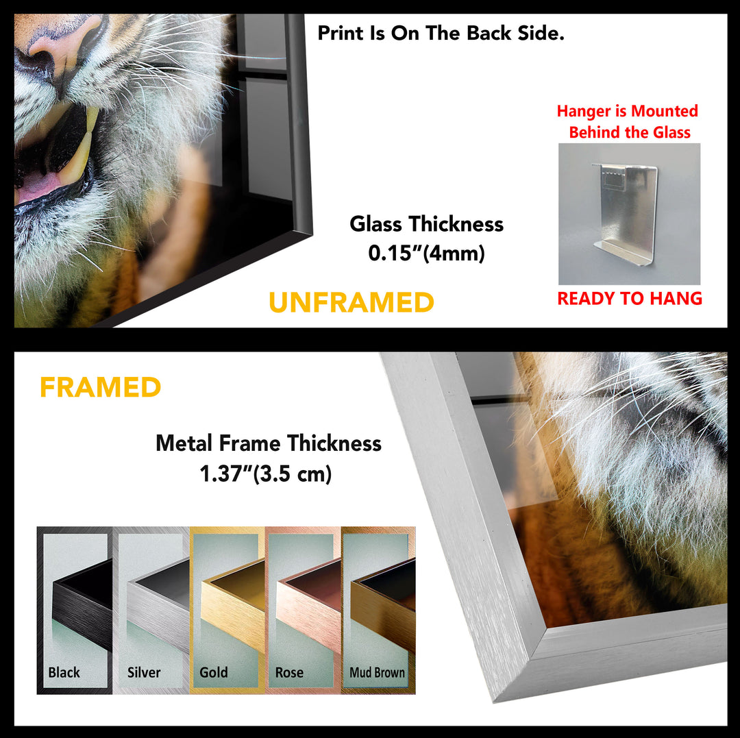 Wild Animal Tiger Tempered Glass Wall Art - MyPhotoStation