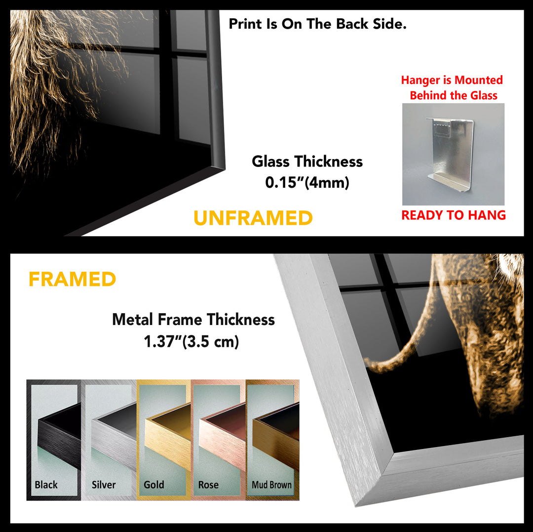 Wild Animal Lion Tempered Glass Wall Art - MyPhotoStation