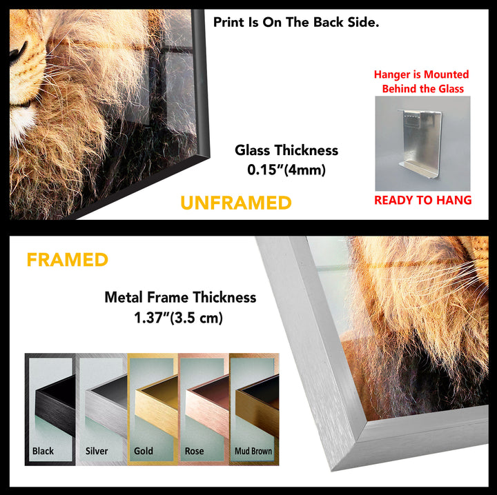 Wild Animal Lion Tempered Glass Wall Art - MyPhotoStation