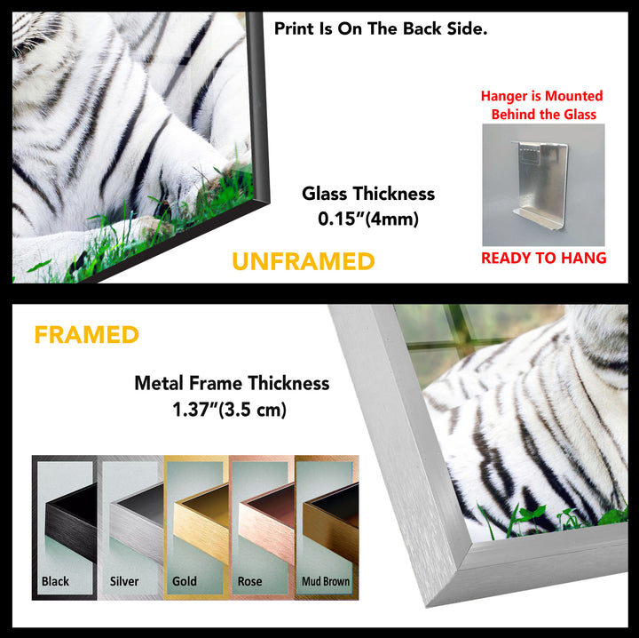 Tiger Safari Animal Tempered Glass Wall Art - MyPhotoStation