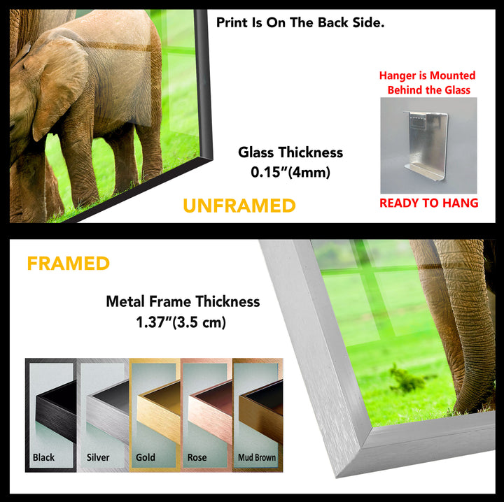 Elephants Tempered Glass Wall Art - MyPhotoStation