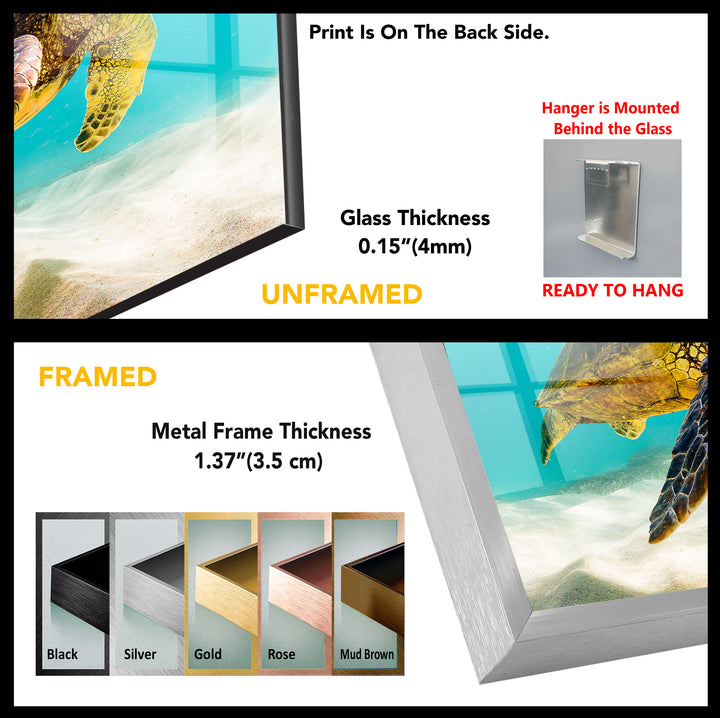 Sea Turtle Tempered Glass Wall Art - MyPhotoStation