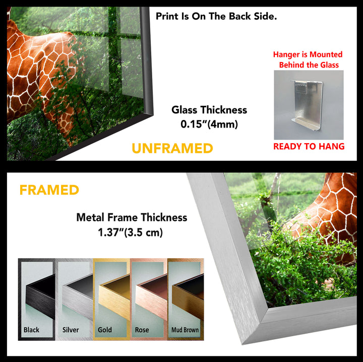 Giraffe Tempered Glass Wall Art - MyPhotoStation