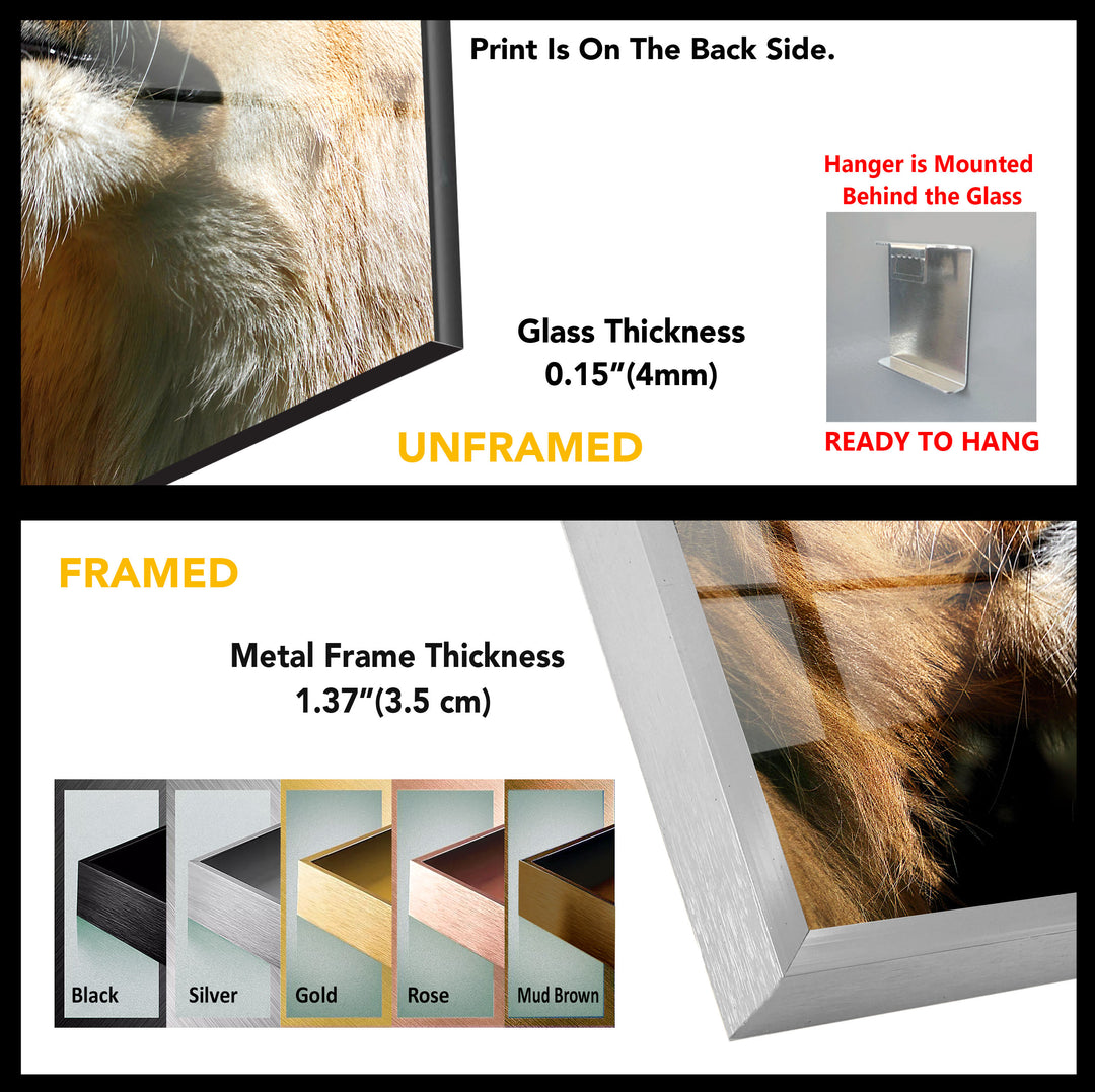 Safari Baby Lion Tempered Glass Wall Art - MyPhotoStation