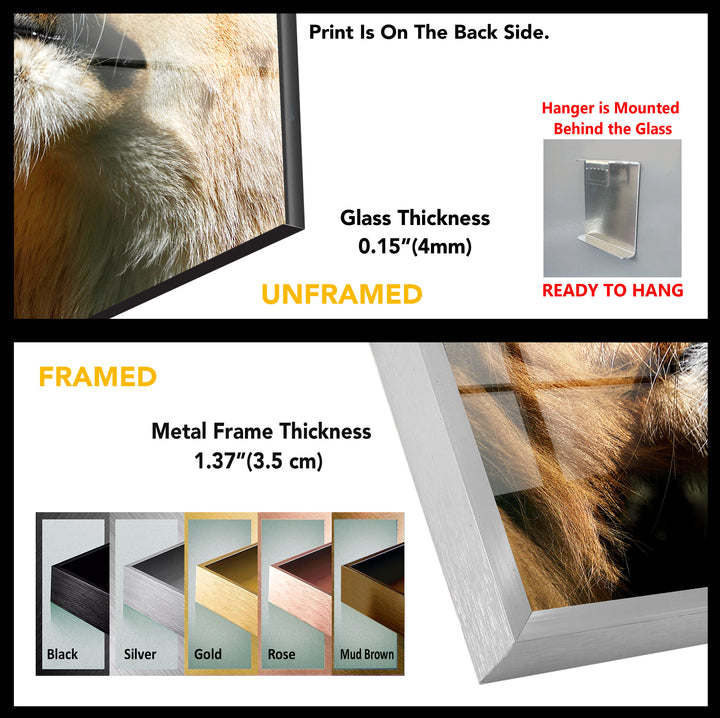 Safari Baby Lion Tempered Glass Wall Art - MyPhotoStation