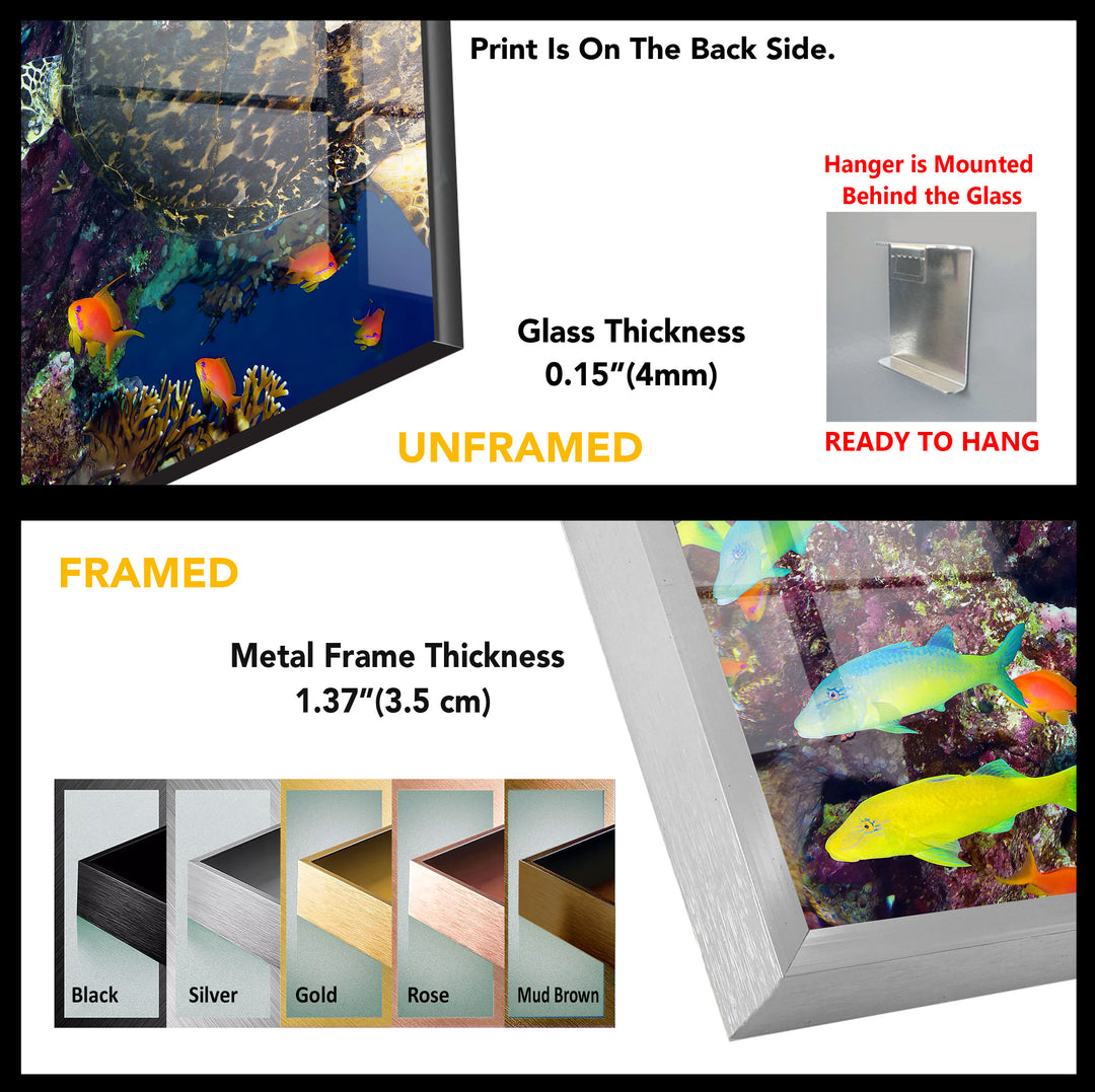 Undersea Fishes Tempered Glass Wall Art - MyPhotoStation