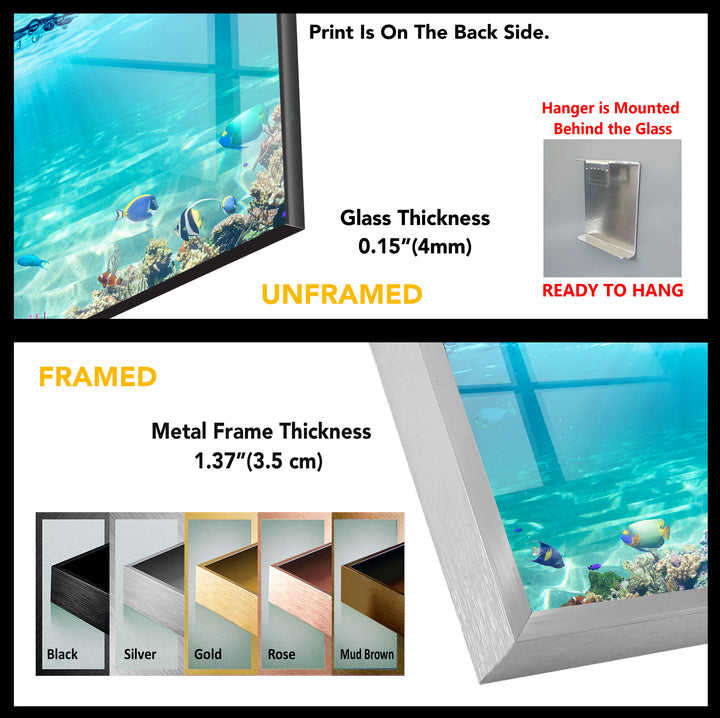 Tropical Island & Fishes Glass Wall Art