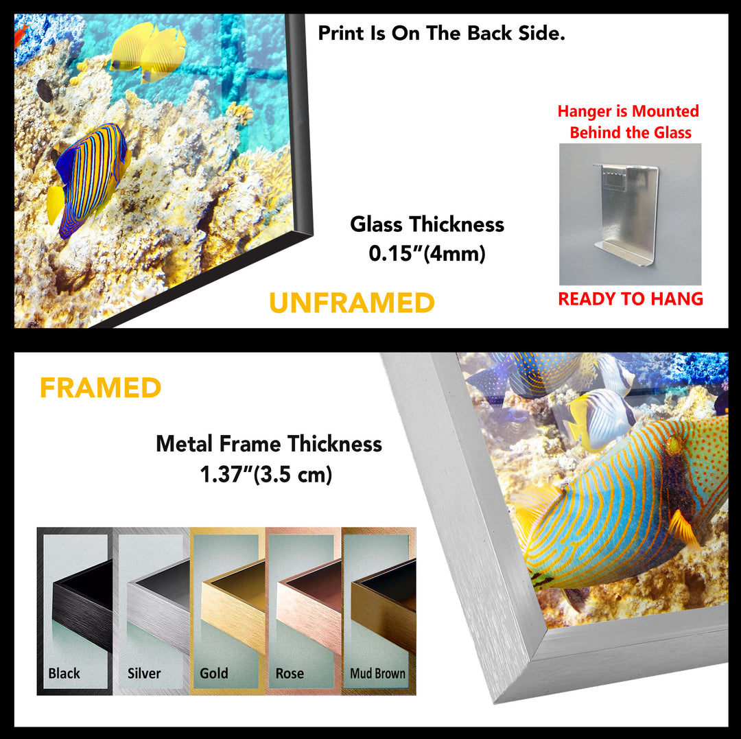 Tropical Ocean Fishes Glass Wall Art