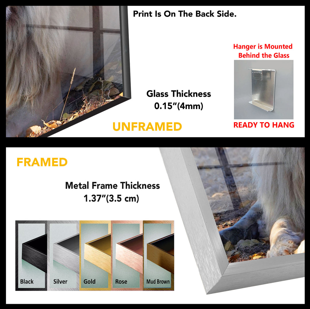 Lion Tempered Glass Wall Art - MyPhotoStation