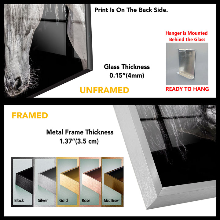 Horses Tempered Glass Wall Art - MyPhotoStation