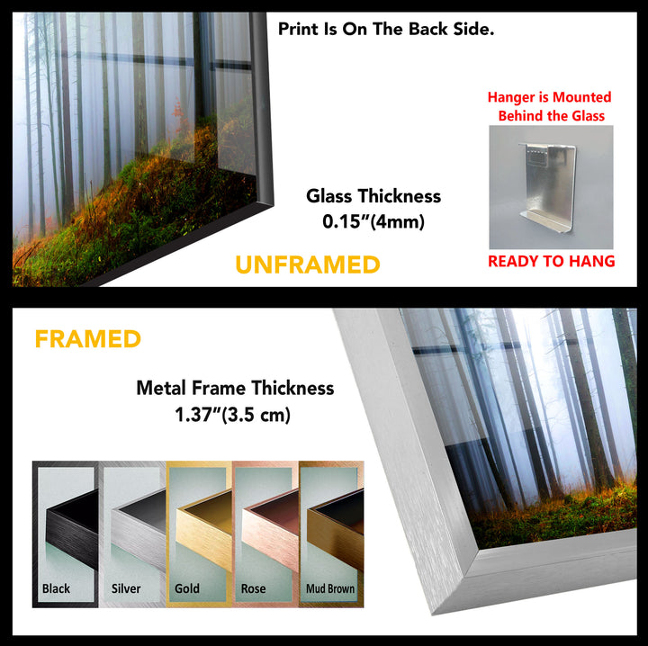 Foggy Forest Glass Wall Art