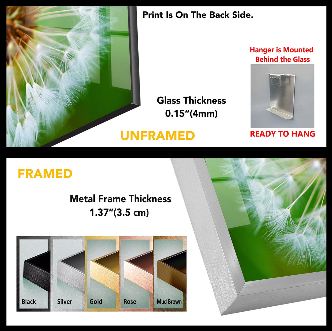 Single Dandelion Flower Glass Wall Art, glass photo prints, glass picture prints
